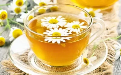 srcb64=aHR0cHM6Ly90Yi1zdGF0aWMudWJlci5jb20vcHJvZC9pbWFnZS1wcm9jL3Byb2Nlc3NlZF9pbWFnZXMvMDM2YmIzNzU0OTBmYmNjNTA4MjAzYzkzN2IxMTY3NTcvYmM5YzMxOGE5Yzk2OTk2ZTJkOTkwZmFmMmIwYzY1ZjYuanBlZw==